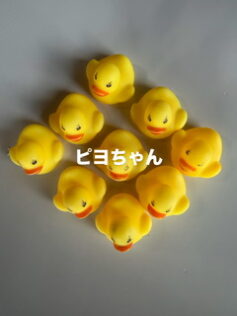 yushi
